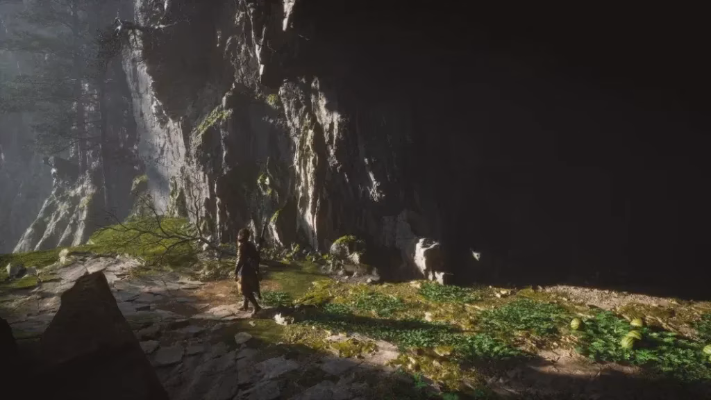 a-hunter-s-ruse-my-journey-of-illusion-flame-and-the-spell-binder-image-0